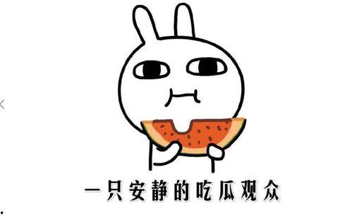 热门今日吃瓜黑料,揭秘娱乐圈最新吃瓜黑料，真相令人震惊！